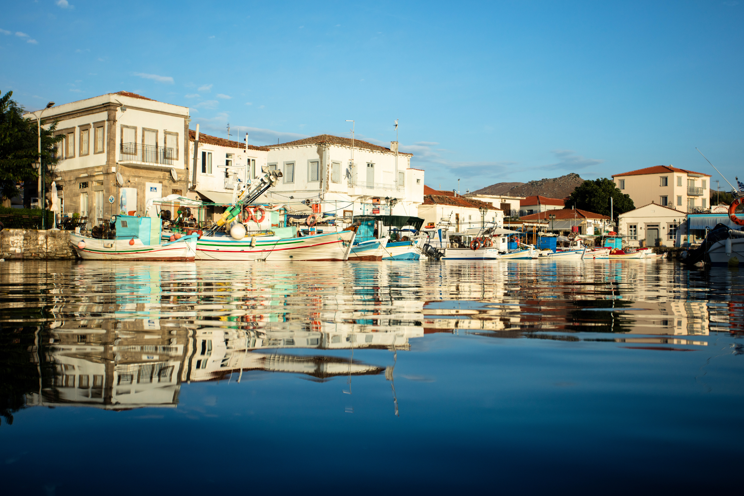 135 lemnos.webp